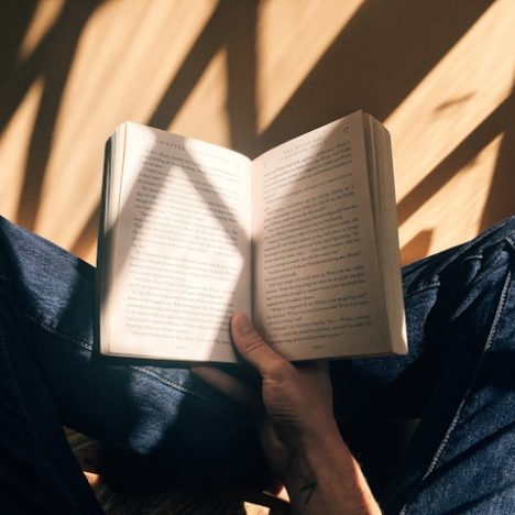 Modern Leisure Unfolds Inside the Digital Sphere with AmonBet
